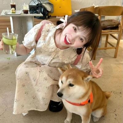 二分之一美少年